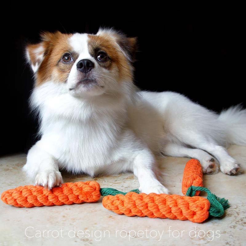 Minana 犬 おもちゃ 犬おもちゃ 犬のおもちゃ ペットトイ 壊れない ボール ロープ 噛む 丈夫 骨 ペットトイ おしゃれ かわいい ガム ロープトイ にんじん